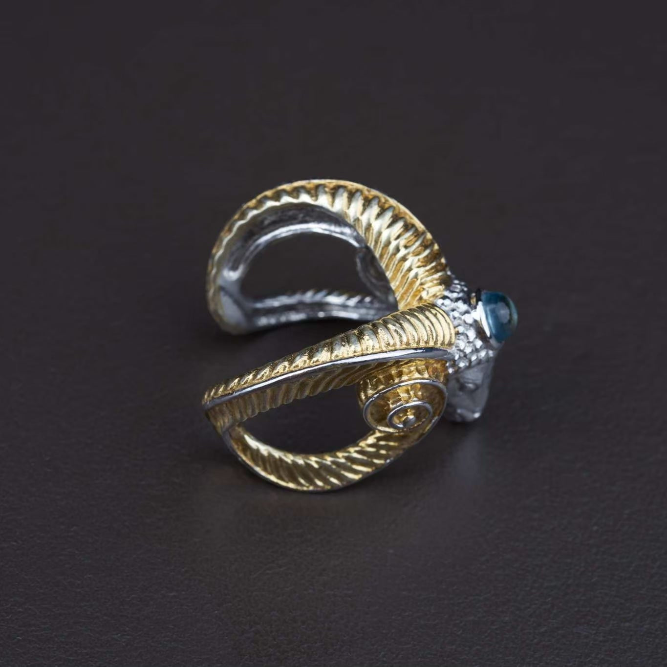 Capricorn Ring | ATTENSION